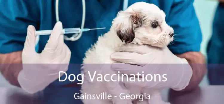 Dog Vaccinations Gainsville - Georgia