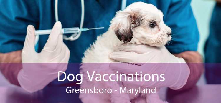 Dog Vaccinations Greensboro - Maryland