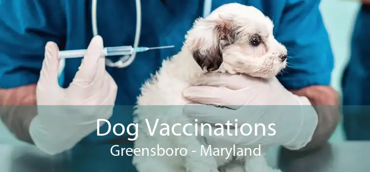 Dog Vaccinations Greensboro - Maryland