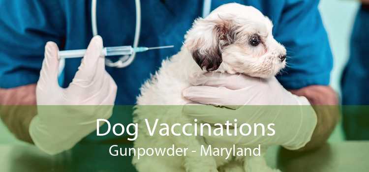 Dog Vaccinations Gunpowder - Maryland