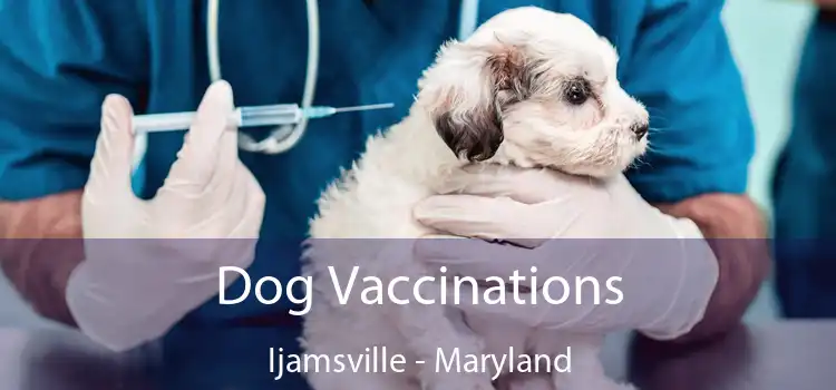 Dog Vaccinations Ijamsville - Maryland