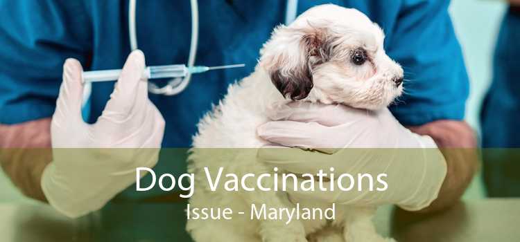 Dog Vaccinations Issue - Maryland