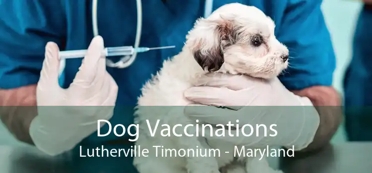 Dog Vaccinations Lutherville Timonium - Maryland