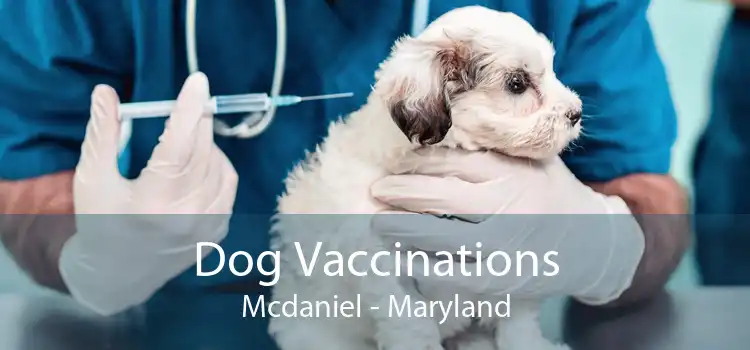 Dog Vaccinations Mcdaniel - Maryland