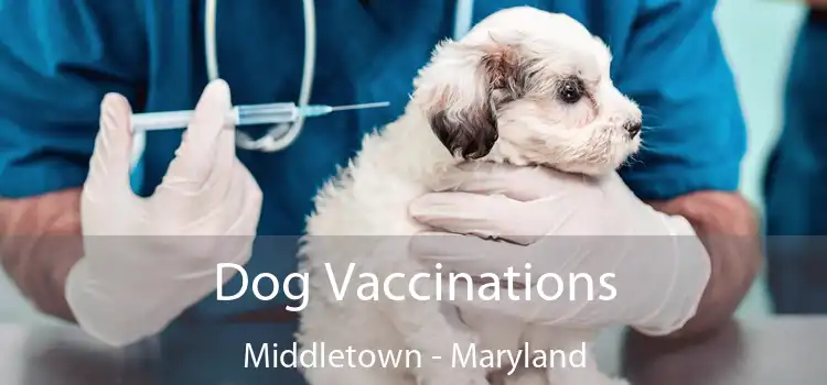 Dog Vaccinations Middletown - Maryland