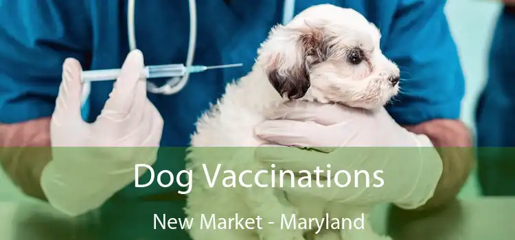 Dog Vaccinations New Market - Maryland