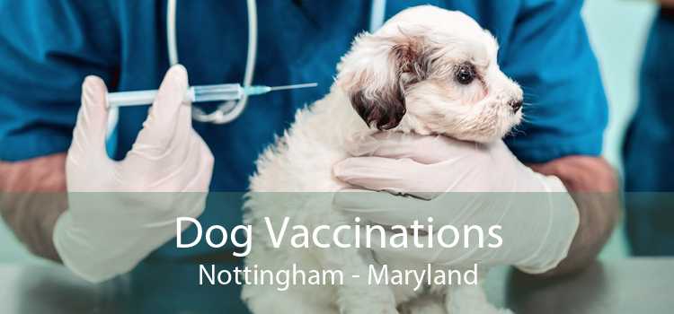 Dog Vaccinations Nottingham - Maryland