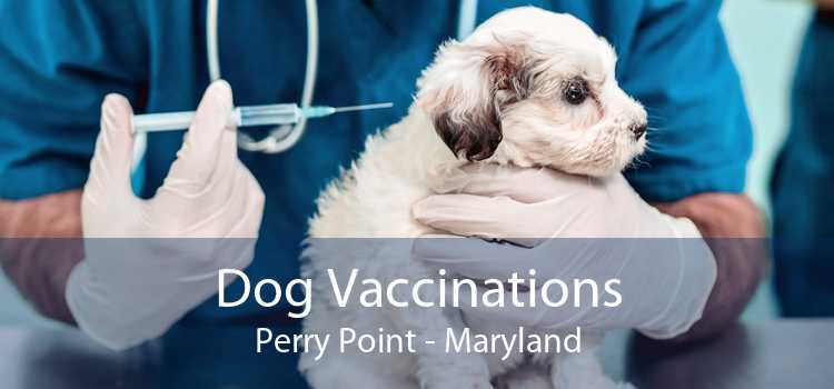 Dog Vaccinations Perry Point - Maryland