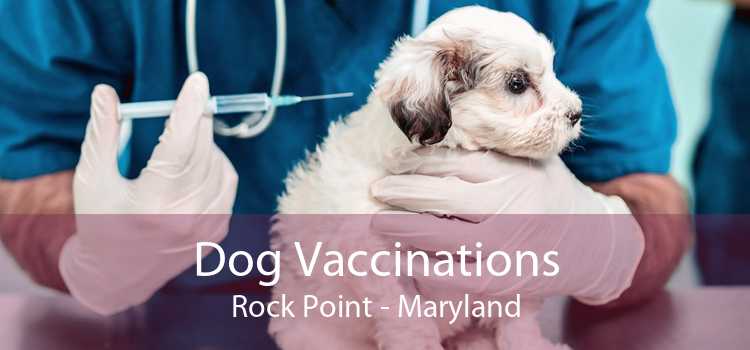 Dog Vaccinations Rock Point - Maryland