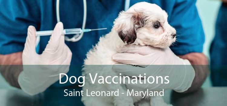 Dog Vaccinations Saint Leonard - Maryland