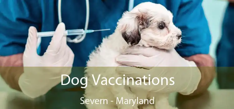 Dog Vaccinations Severn - Maryland