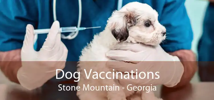 Dog Vaccinations Stone Mountain - Georgia