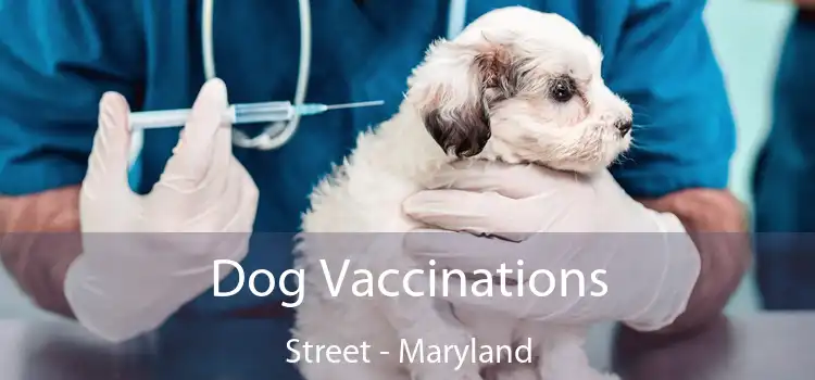 Dog Vaccinations Street - Maryland