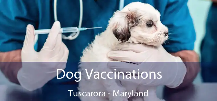 Dog Vaccinations Tuscarora - Maryland