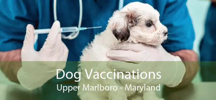 Dog Vaccinations Upper Marlboro - Maryland