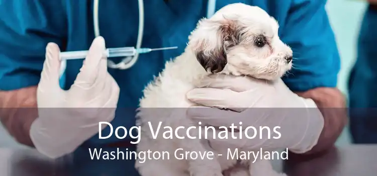 Dog Vaccinations Washington Grove - Maryland