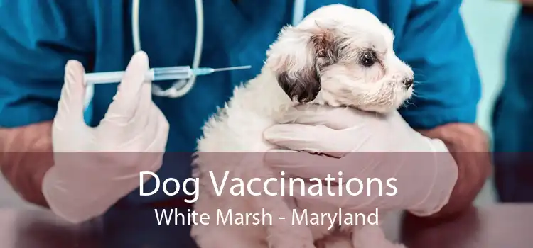 Dog Vaccinations White Marsh - Maryland