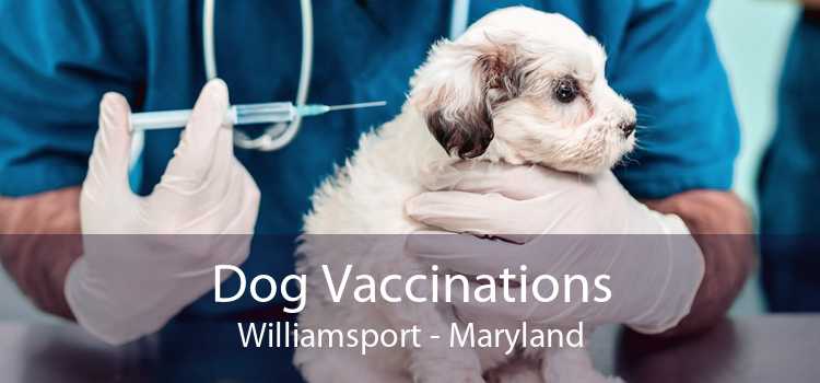 Dog Vaccinations Williamsport - Maryland