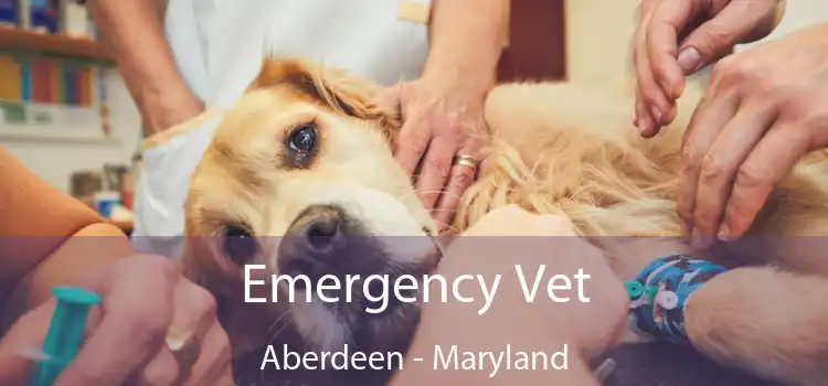 Emergency Vet Aberdeen - Maryland