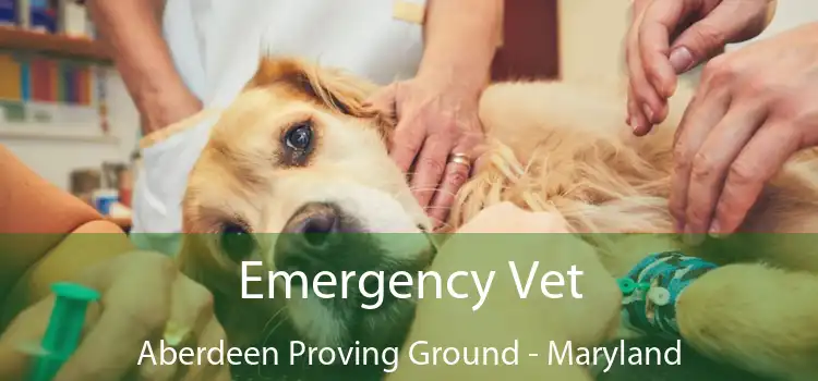 Emergency Vet Aberdeen Proving Ground - Maryland