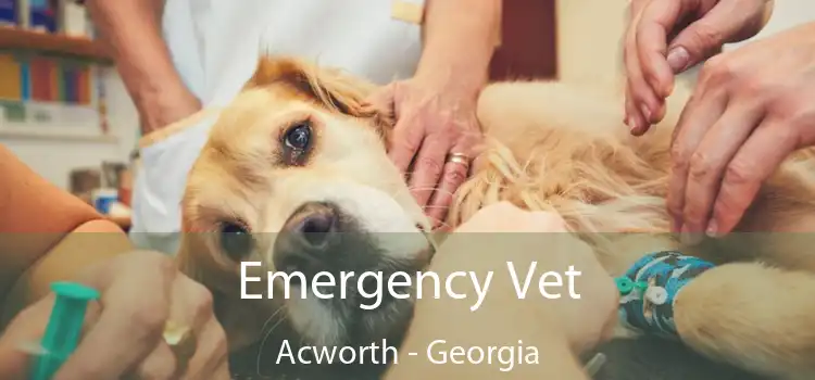 Emergency Vet Acworth - Georgia