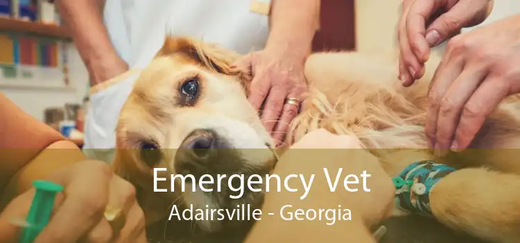 Emergency Vet Adairsville - Georgia