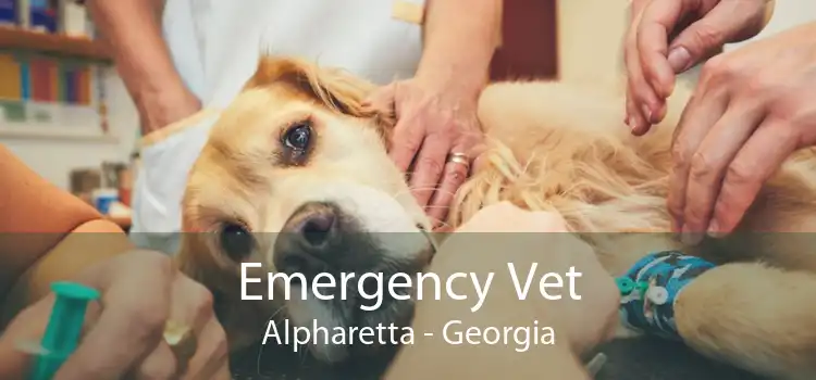 Emergency Vet Alpharetta - Georgia