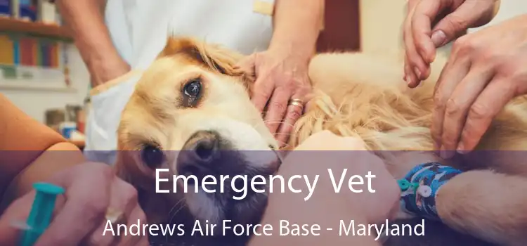 Emergency Vet Andrews Air Force Base - Maryland