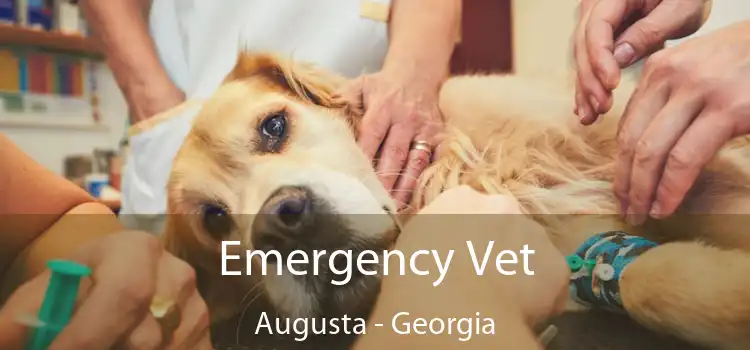 Emergency Vet Augusta - Georgia