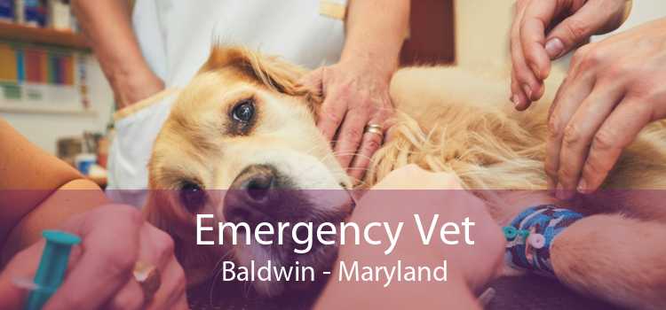 Emergency Vet Baldwin - Maryland