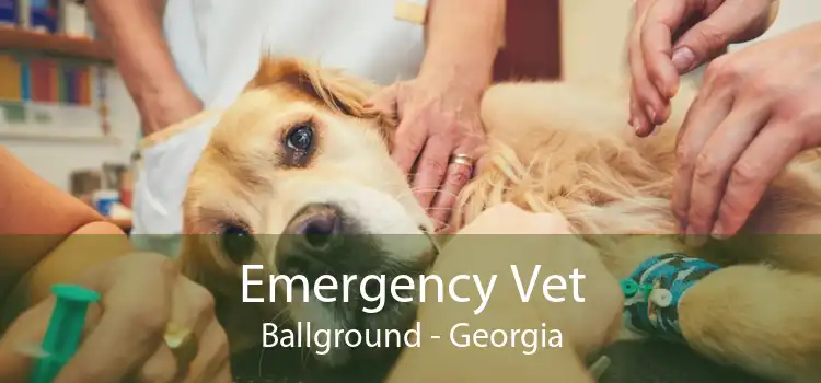Emergency Vet Ballground - Georgia