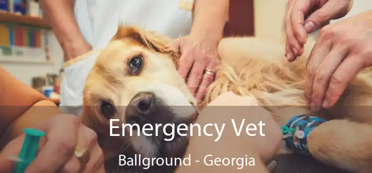 Emergency Vet Ballground - Georgia