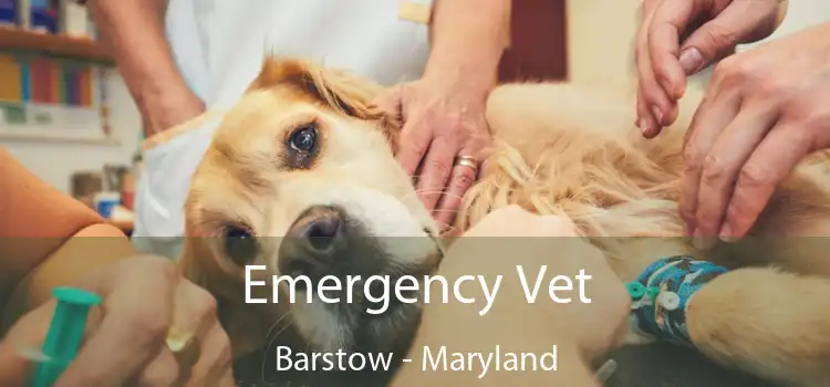 Emergency Vet Barstow - Maryland