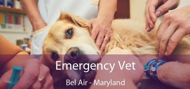 Emergency Vet Bel Air - Maryland