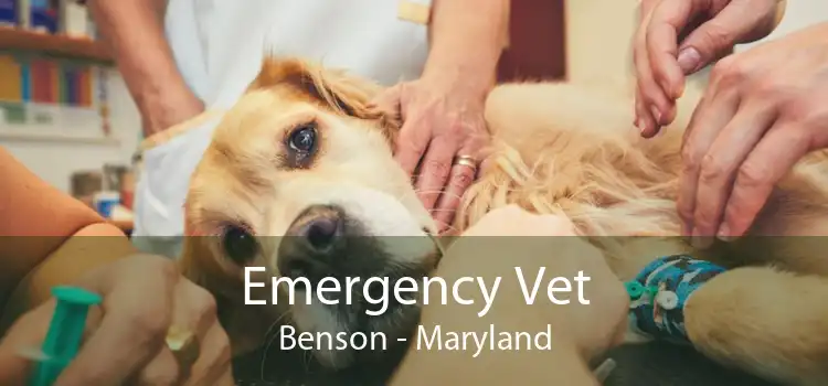 Emergency Vet Benson - Maryland