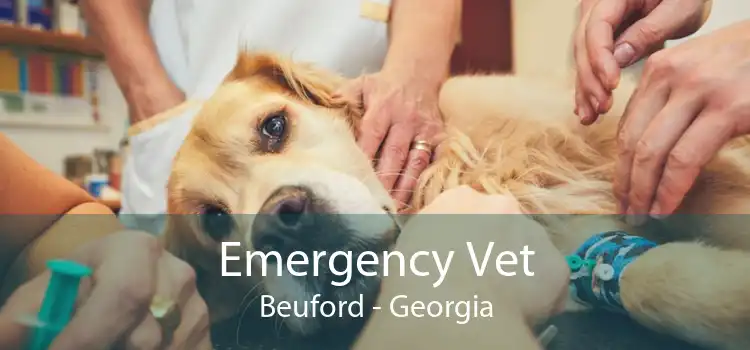 Emergency Vet Beuford - Georgia