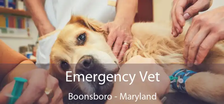 Emergency Vet Boonsboro - Maryland