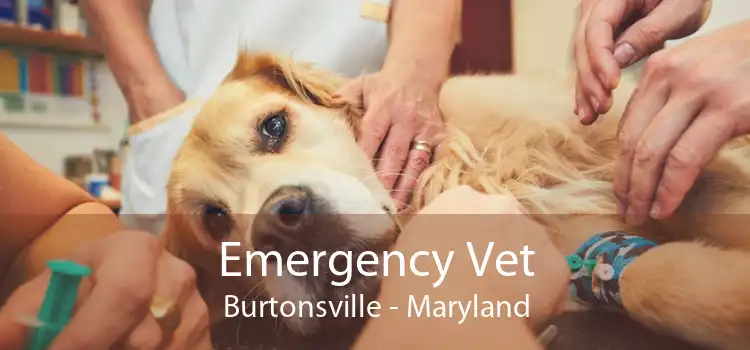 Emergency Vet Burtonsville - Maryland