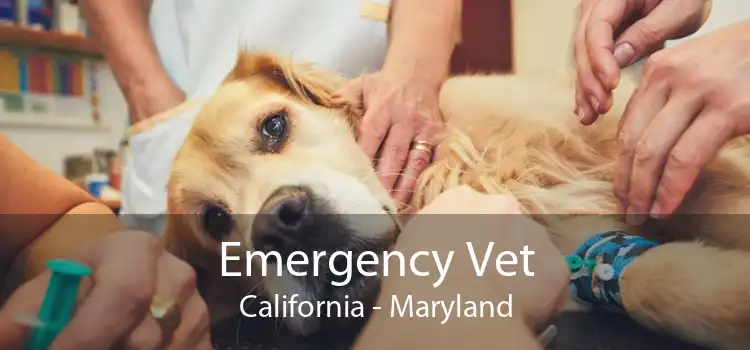 Emergency Vet California - Maryland