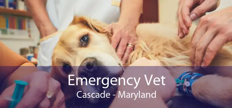 Emergency Vet Cascade - Maryland