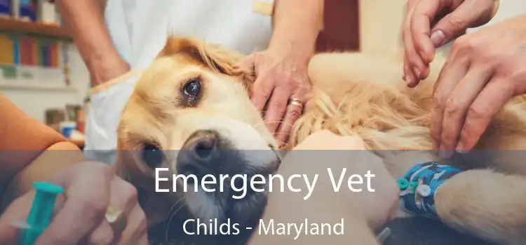 Emergency Vet Childs - Maryland