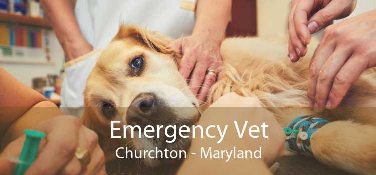 Emergency Vet Churchton - Maryland