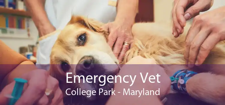 Emergency Vet College Park - Maryland