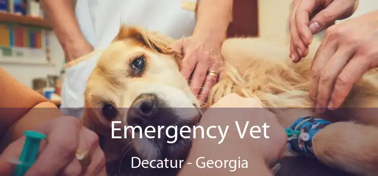 Emergency Vet Decatur - Georgia