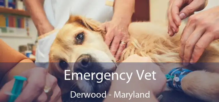 Emergency Vet Derwood - Maryland