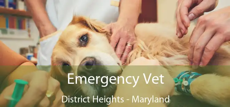 Emergency Vet District Heights - Maryland