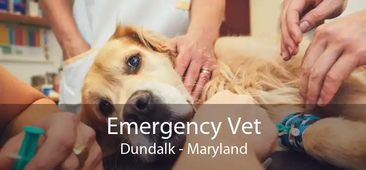 Emergency Vet Dundalk - Maryland