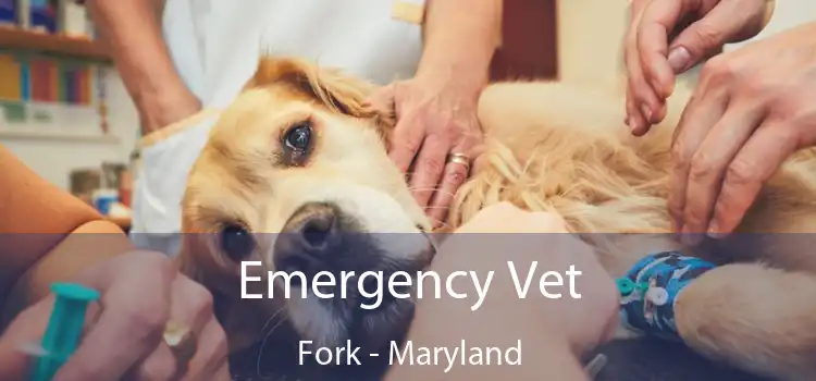 Emergency Vet Fork - Maryland