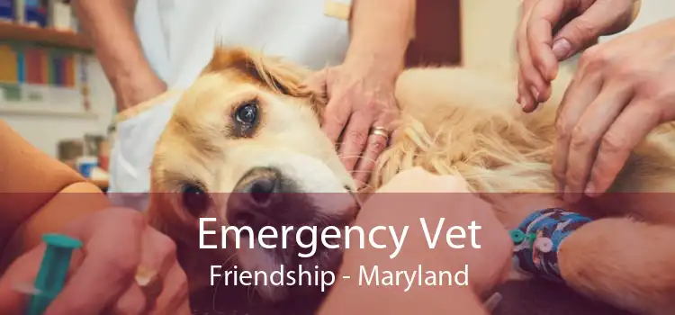 Emergency Vet Friendship - Maryland