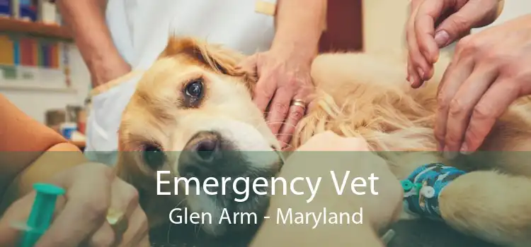 Emergency Vet Glen Arm - Maryland